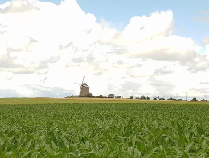 Gite Timeo Mont Saint-Michel Pontorson Zewnętrze zdjęcie