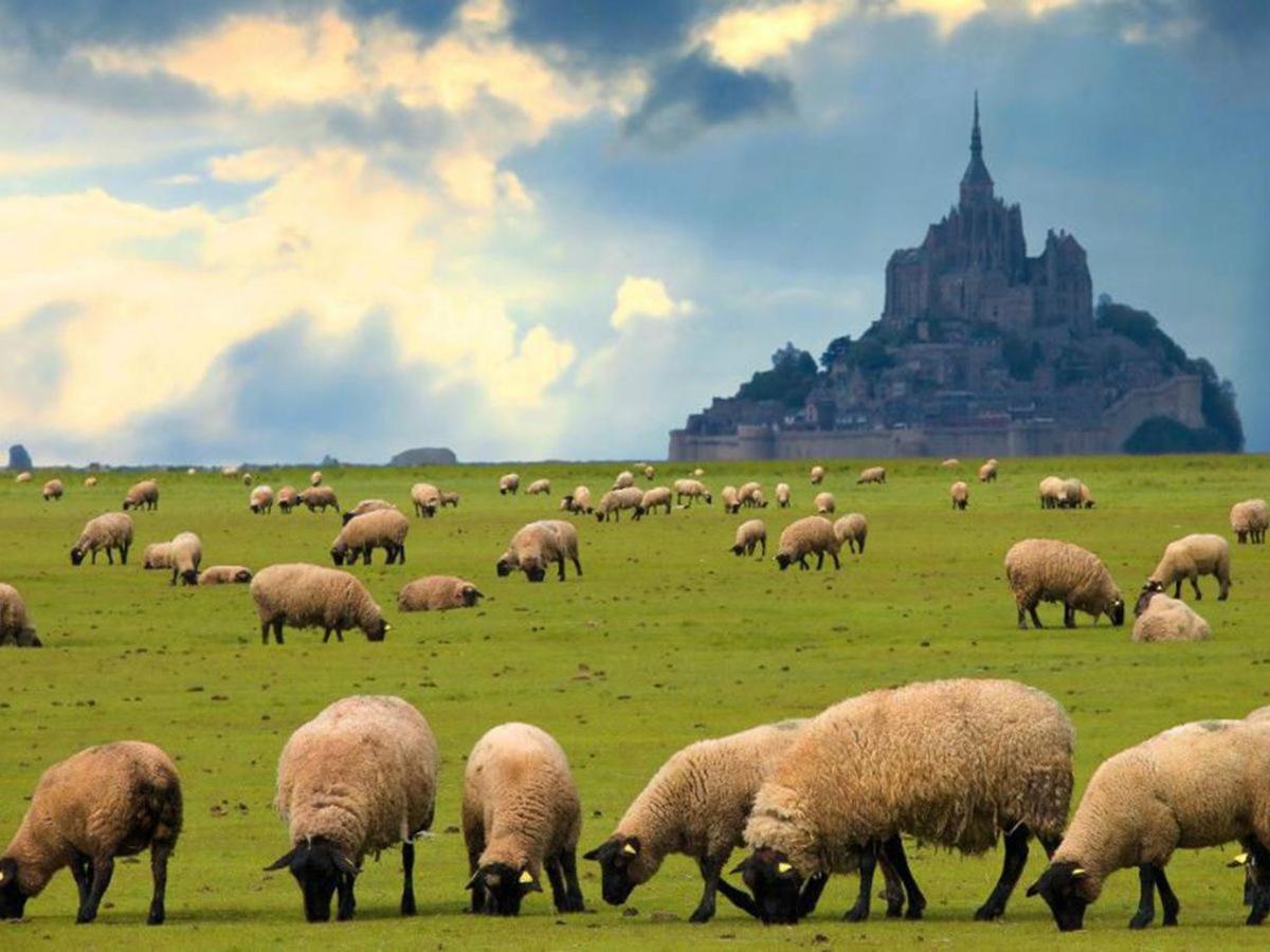 Gite Timeo Mont Saint-Michel Pontorson Zewnętrze zdjęcie